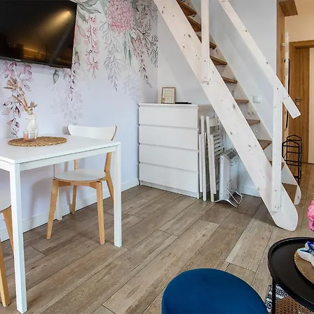 1 Bedroom Pet Friendly In شقة *
